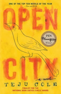 image for Open city : a novel