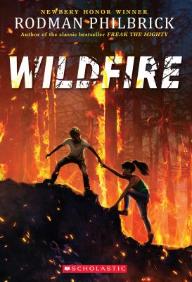 image for Wildfire : a novel